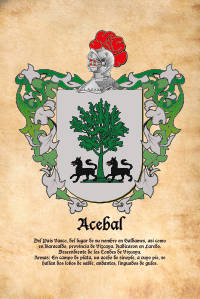 Escudo heráldico del apellido ACEBAL