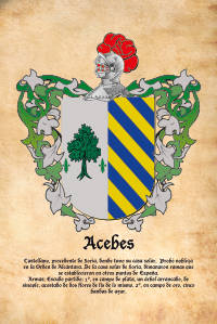Escudo heráldico del apellido ACEBES