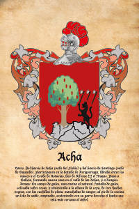 Escudo heráldico del apellido ACHA