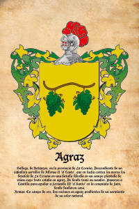 Escudo heráldico del apellido AGRAZ