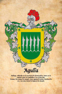 Escudo heráldico del apellido AGULLA