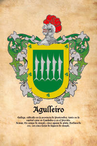 Escudo heráldico del apellido AGULLEIRO