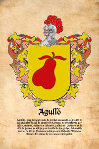 Escudo heráldico del apellido AGULLO