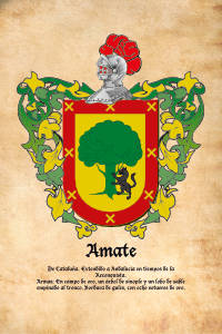Escudo heráldico del apellido AMATE