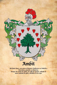 Escudo heráldico del apellido AMBIT