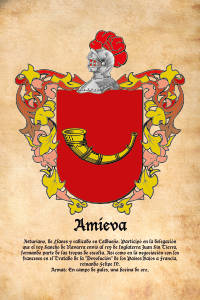 Escudo heráldico del apellido AMIEVA