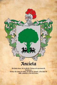 Escudo heráldico del apellido ANCIETA