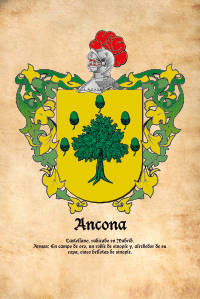 Escudo heráldico del apellido ANCONA
