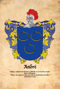 Escudo heráldico del apellido ANDRE