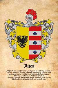 Escudo heráldico del apellido ANES