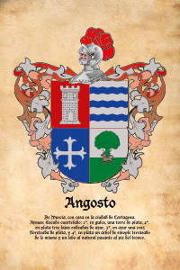 Escudo heráldico del apellido ANGOSTO