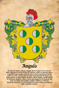 Escudo heráldico del apellido ANGULO