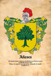 Escudo heráldico del apellido AÑESES