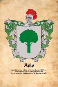 Escudo heráldico del apellido APIP