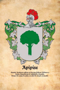 Escudo heráldico del apellido APIPISE