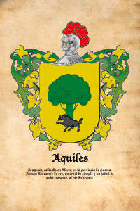 Escudo heráldico del apellido AQUILES