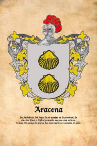 Escudo heráldico del apellido ARACENA