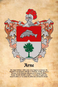 Escudo heráldico del apellido ARNE
