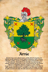 Escudo heráldico del apellido ARRUE