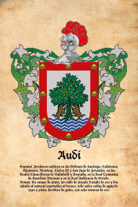 Escudo heráldico del apellido AUDI