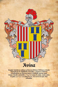Escudo heráldico del apellido AVINA