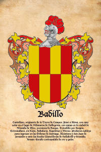 Escudo heráldico del apellido BADILLO