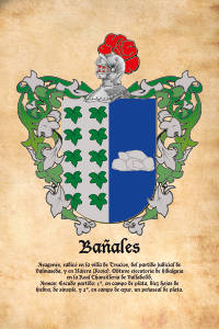 Escudo heráldico del apellido BAÑALES