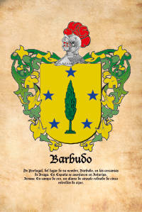 Escudo heráldico del apellido BARBUDO