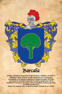 Escudo heráldico del apellido BARCALA