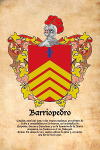 Escudo heráldico del apellido BARRIOPEDRO