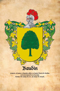Escudo heráldico del apellido BAUDIN