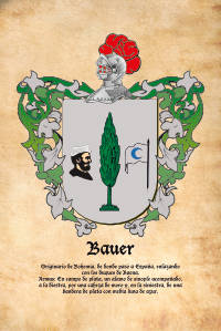 Escudo heráldico del apellido BAUER