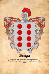 Escudo heráldico del apellido BEJIGA