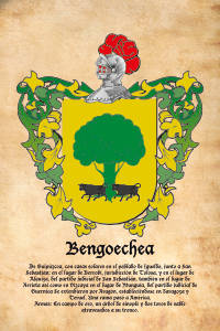 Escudo heráldico del apellido BENGOECHEA