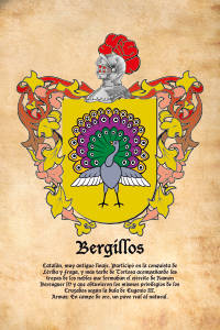 Escudo heráldico del apellido BERGILLOS