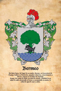 Escudo heráldico del apellido BERMEO