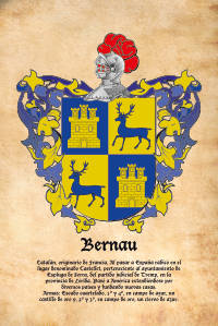 Escudo heráldico del apellido BERNAU