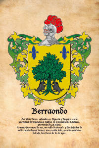 Escudo heráldico del apellido BERRAONDO