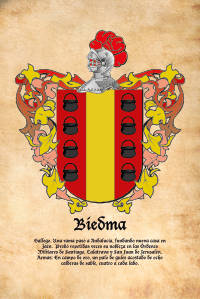 Escudo heráldico del apellido BIEDMA