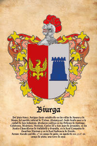Escudo heráldico del apellido BIURGA