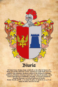 Escudo heráldico del apellido BIURIA