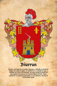 Escudo heráldico del apellido BIURRUN