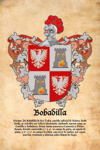 Escudo heráldico del apellido BOBADILLA