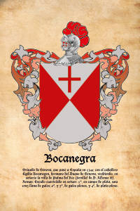 Escudo heráldico del apellido BOCANEGRA