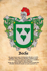Escudo heráldico del apellido BOCHE