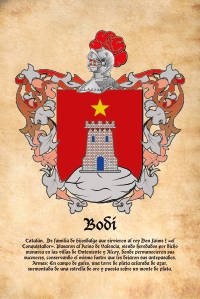 Escudo heráldico del apellido BODI