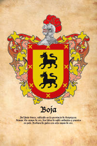 Escudo heráldico del apellido BOJA