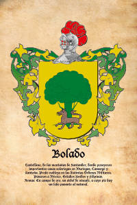 Escudo heráldico del apellido BOLADO