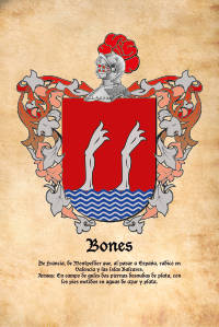Escudo heráldico del apellido BONES