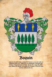 Escudo heráldico del apellido BOQUIN